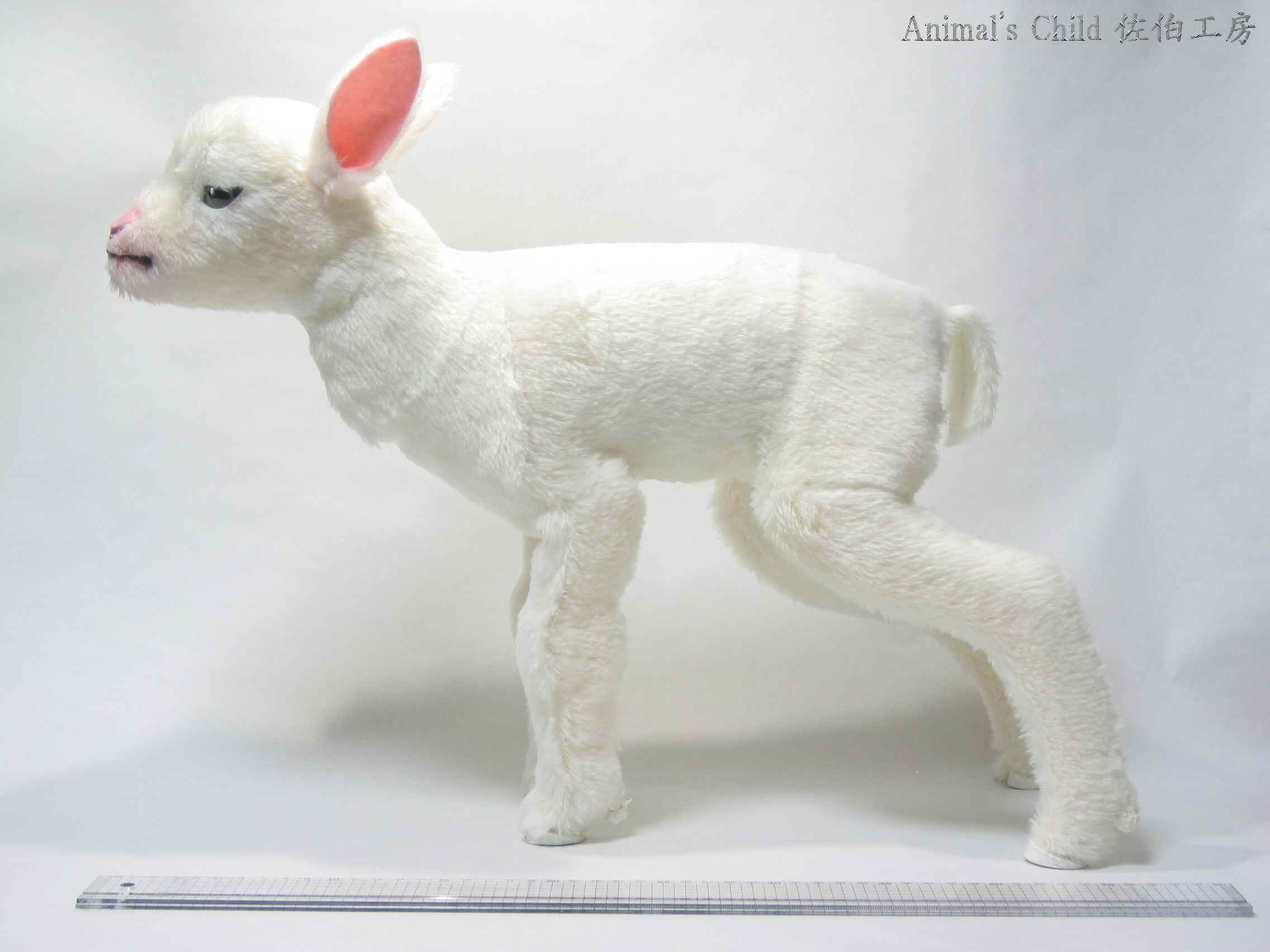 �R�r�O�O�P