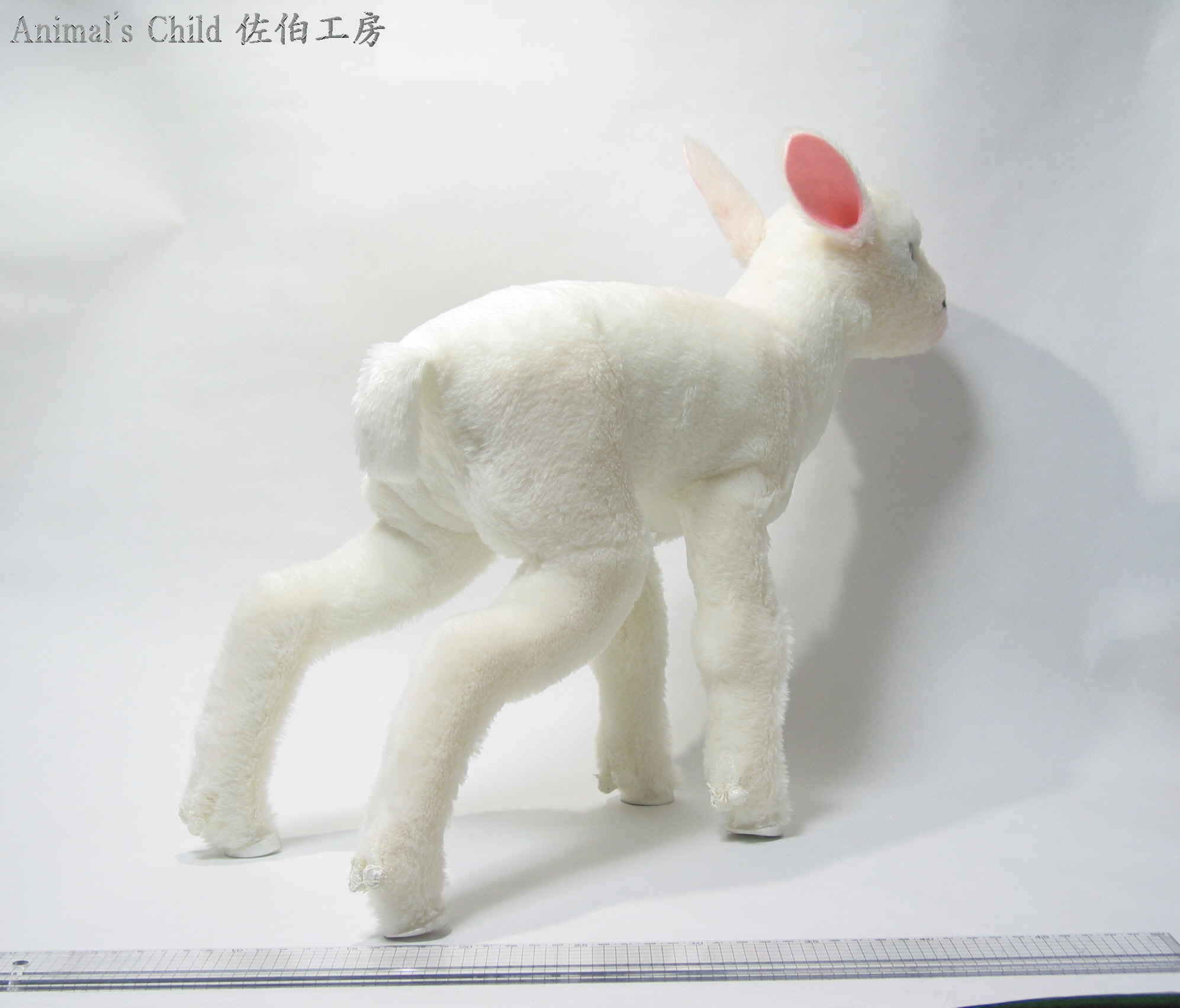 �R�r�O�O�T